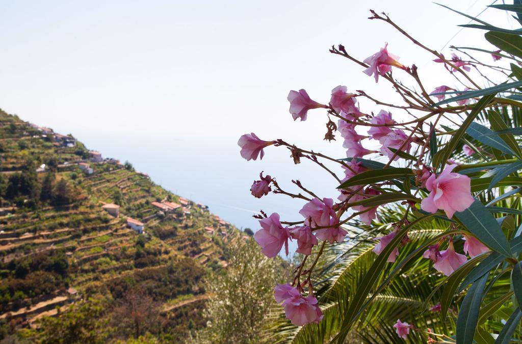 Il Nettare Hotel Riomaggiore Exterior photo